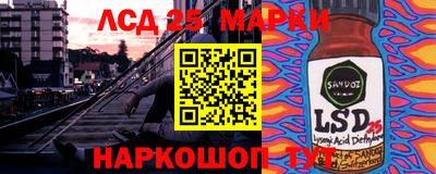 гидропоника Будённовск