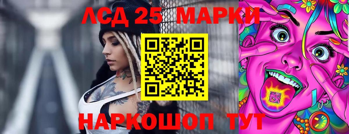 МЕФ Хасавюрт