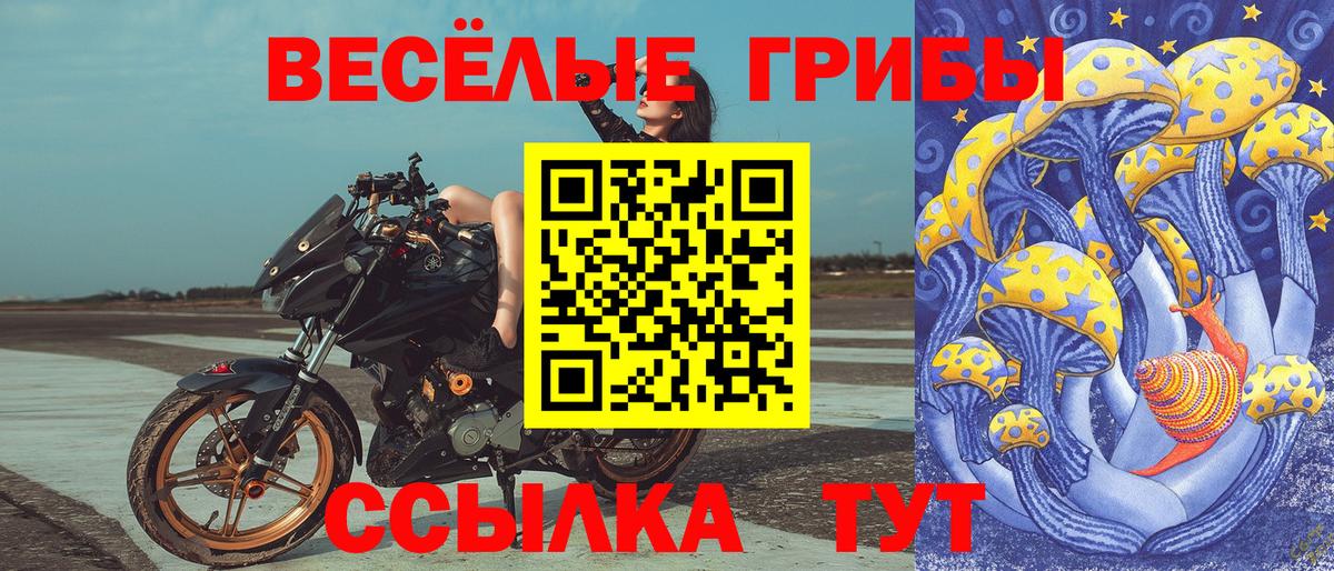 Хасавюрт  Галлюциногенные грибы мухоморы  Псилоцибиновые грибы GOLDEN TEACHER  где найти   Вход с VPN 