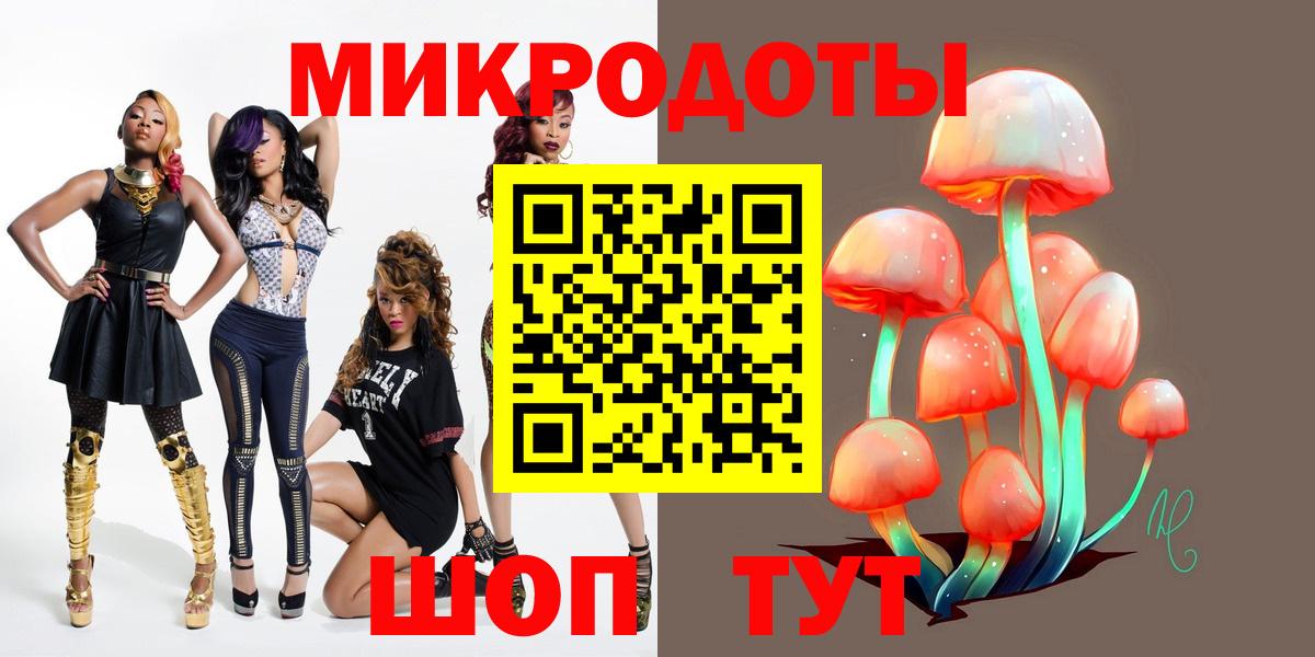 Галлюциногенные грибы Psilocybine cubensis Хасавюрт